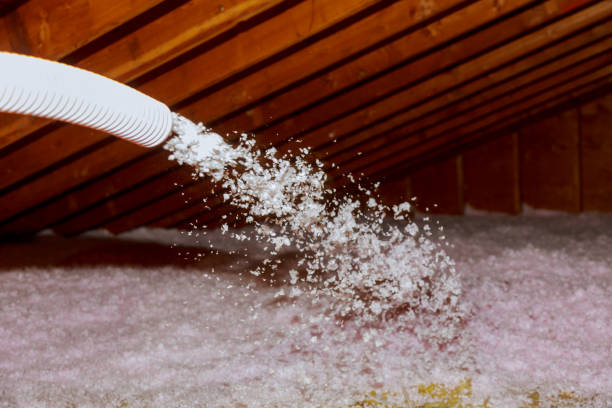 Best Energy-efficient Insulation  in West Leechburg, PA